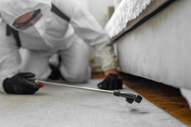 Professional Pest Control technician working in Cajah's Mountain, NC