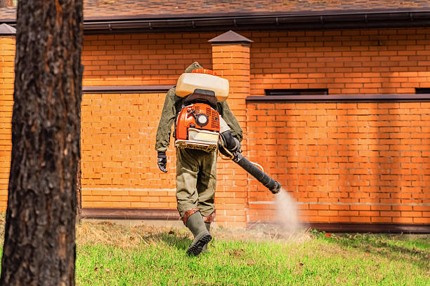 Trusted Ant Control service in Cajah's Mountain, NC - Nex Pest Control
